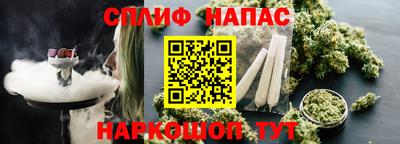 PSILOCYBIN Малоярославец