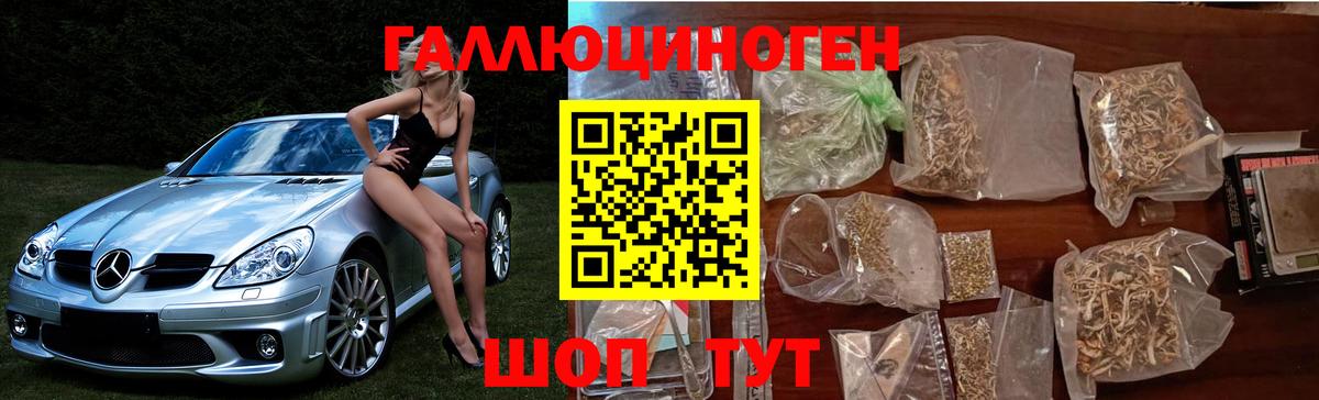 Юрга  купить наркоту  Вход с VPN  Псилоцибиновые грибы MAGIC MUSHROOMS 